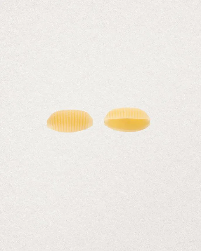 LOT DE 6 GNOCCI SARDI