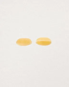 LOT DE 6 GNOCCI SARDI