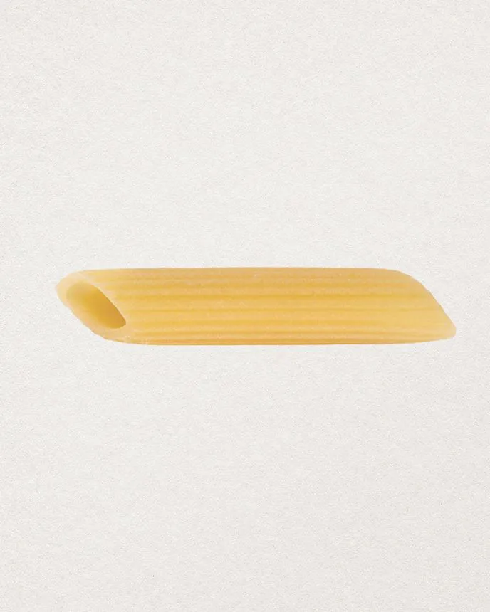 LOT DE 6 PENNE RIGATE