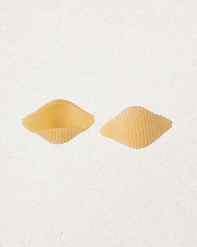 LOT DE 6 CONCHIGLIE RIGATE