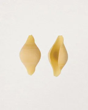 CONCHIGLIONI