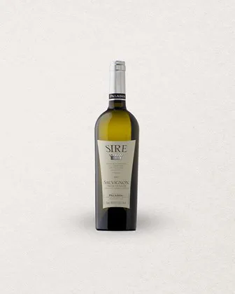 SAUVIGNON SIRE - IGT - VÉNÉTIE - 2023