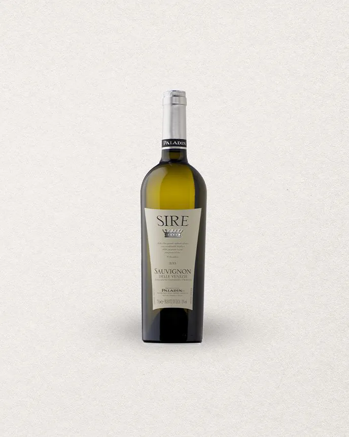 6 SAUVIGNON SIRE - IGT   VÉNÉTIE - 2023