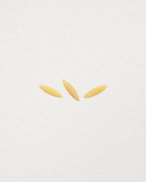 ORZO 1