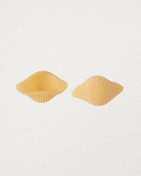 LOT DE 6 CONCHIGLIE RIGATE 1