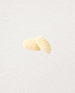 GNOCCHI 2