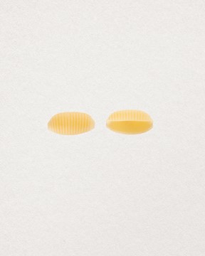 LOT DE 6 GNOCCI SARDI